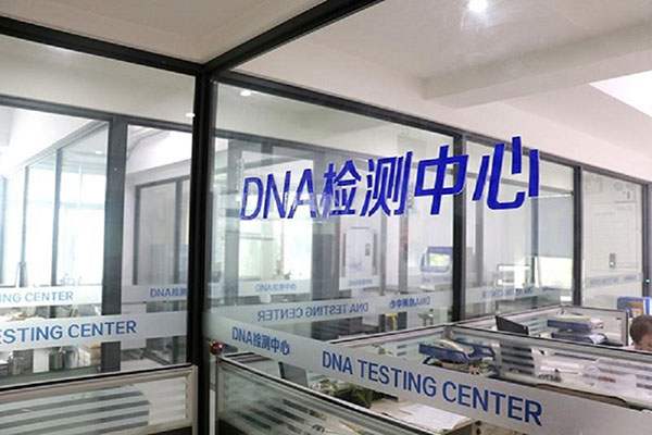 黑龙江全国统一采血DNA入库（一探全国DNA数据库的建设和运行机制） 